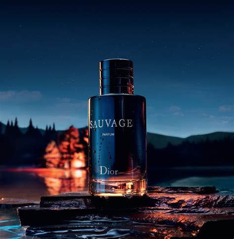 douglas dior eau de parfum|Dior sauvage cologne top notes.